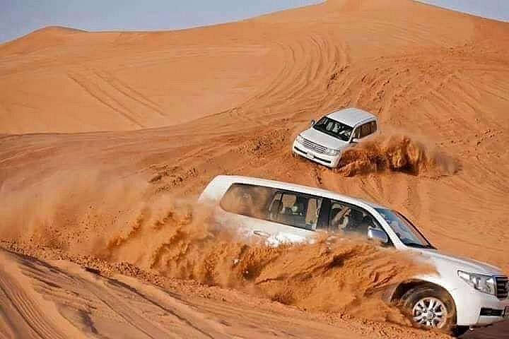 Morning Desert Safari with Private Land Cruiser